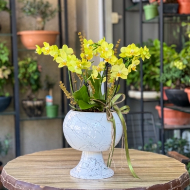 �zel Koleksiyon Yellow Cup